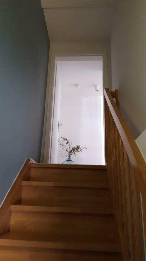 Haus Zum Wilden Manne Villa Erfurt Eksteriør billede